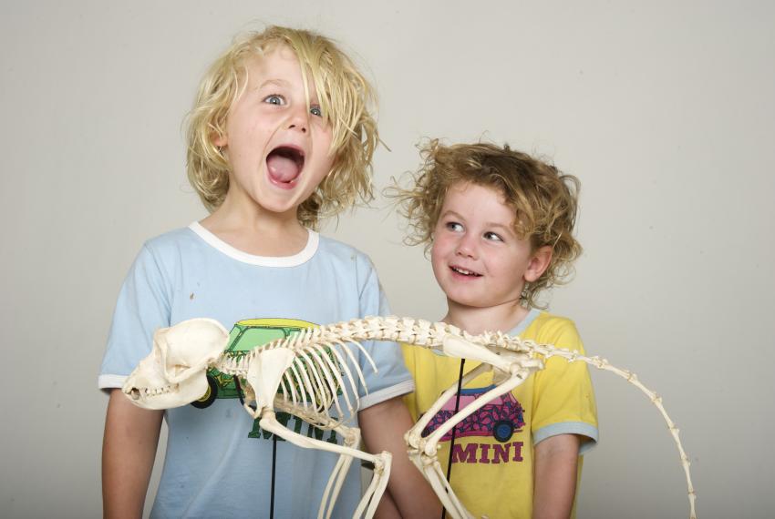 Two children enjoying activities at the WA Museum