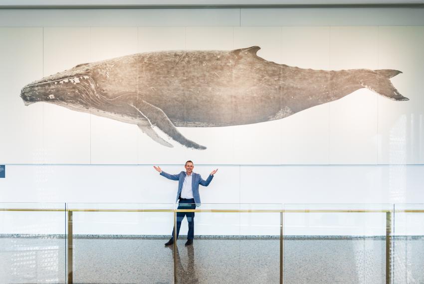 Jason standing with his arms up in front of Ross Potter’s big drawing of a young humpback whale.