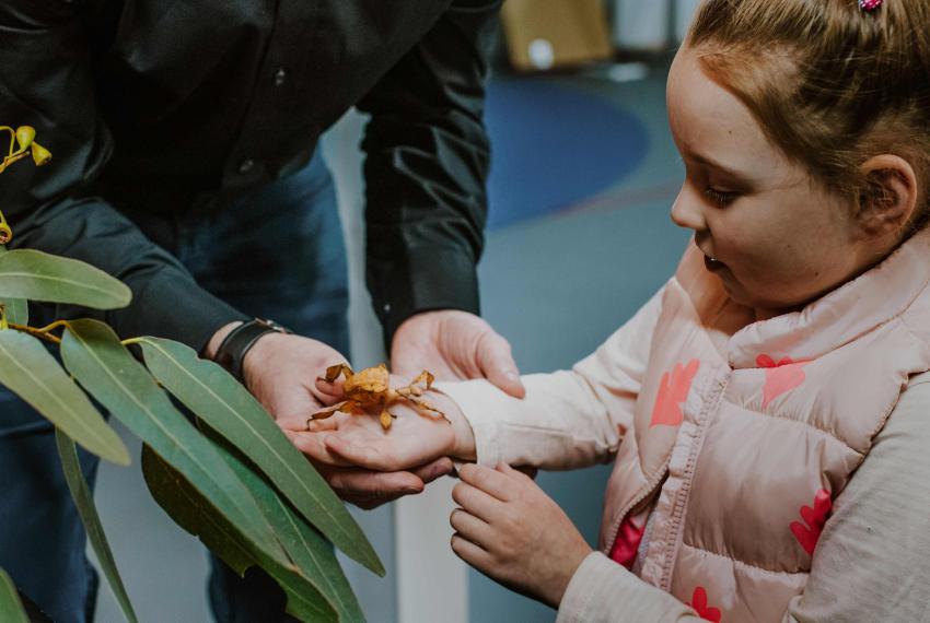 Young girl with an insect on her hand