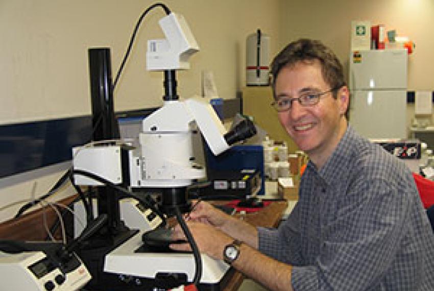 A scientist seated near a microscope