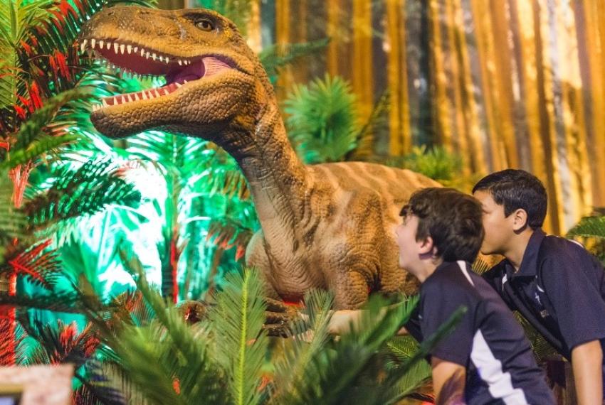 The 1.6-metre high Australovenator model, Image courtesy of WA Museum Boola Bardip, Credit Remote Digital Imagery.