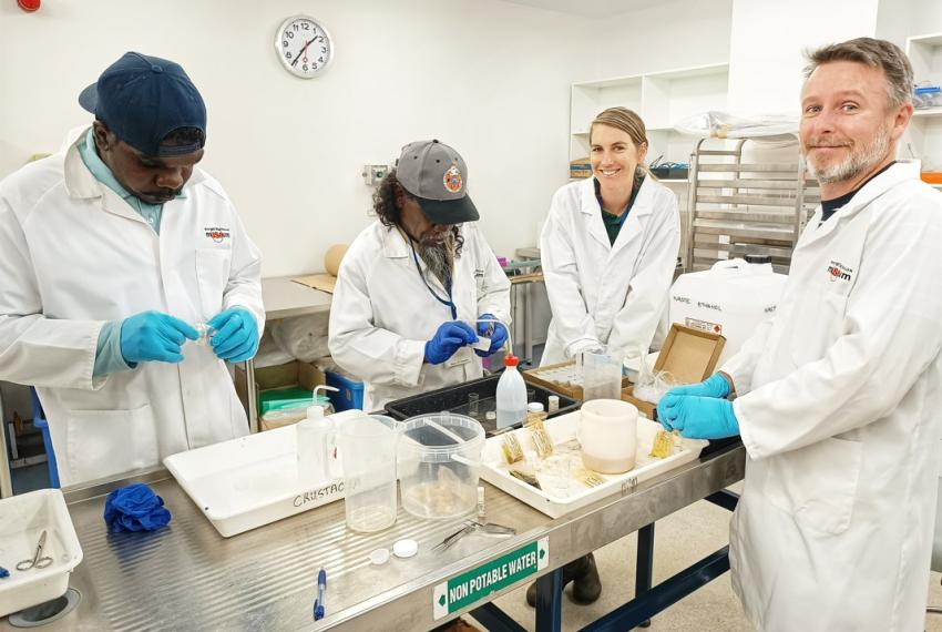 Emerging Curators working with WA Museum's Aquatic Zoology team