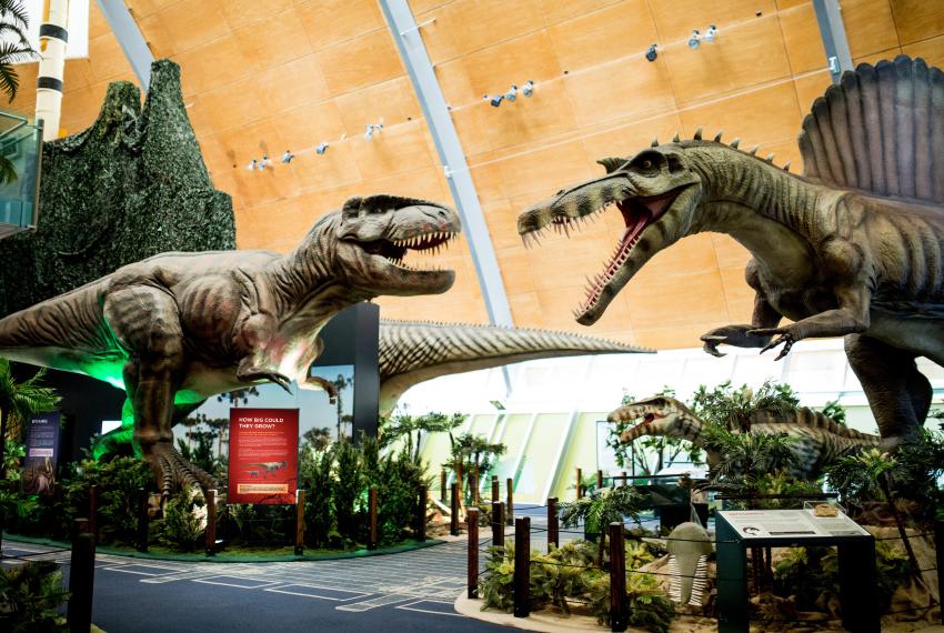 Dinosaur Discovery: Lost Creatures of the Cretaceous exhibition