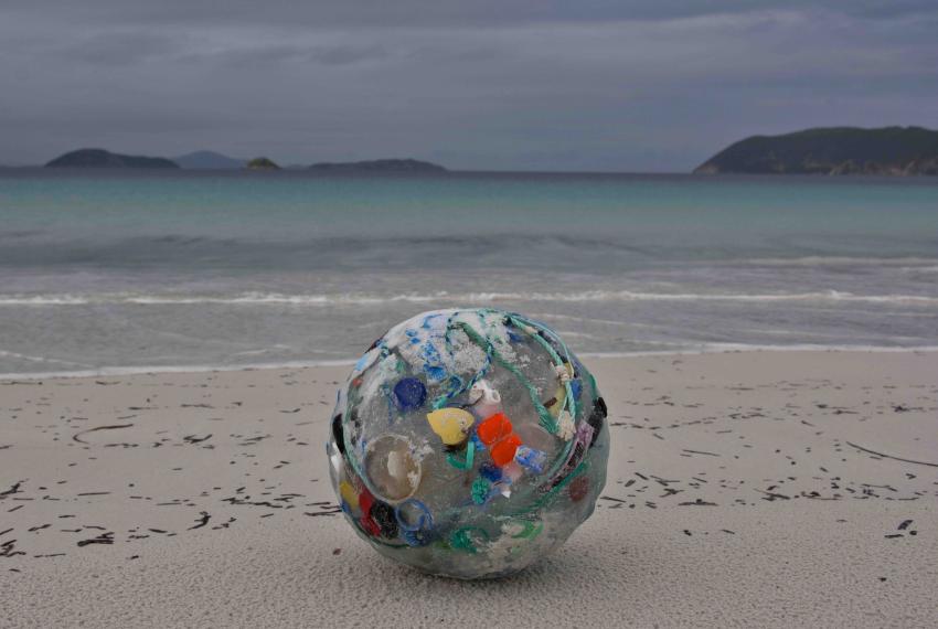 Pelagic Plastic III