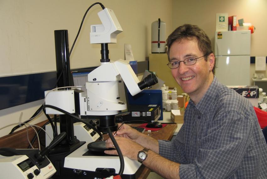 Scientist sitting at a desk near a microscope