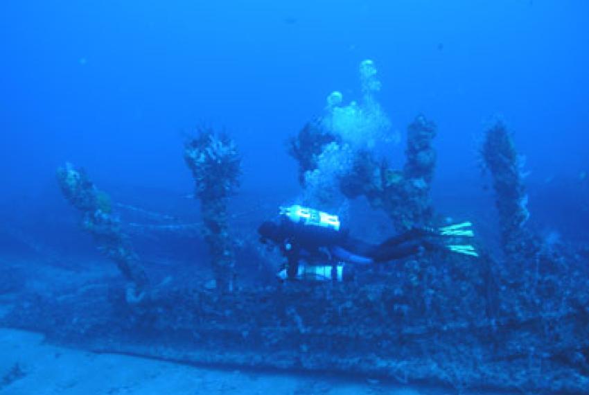 A diver inspecting the wreck of a shipwreck