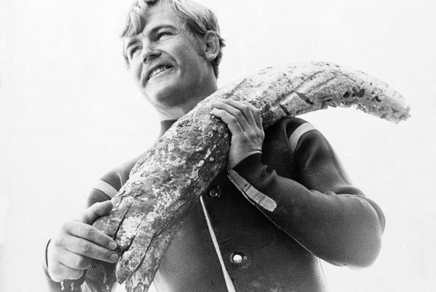 Museum curator with a ivory tusk recovered from a shipwreck