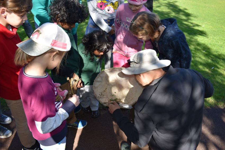 WA Museum entomologist Dr Nik Tatarnic explores insect life with young people.