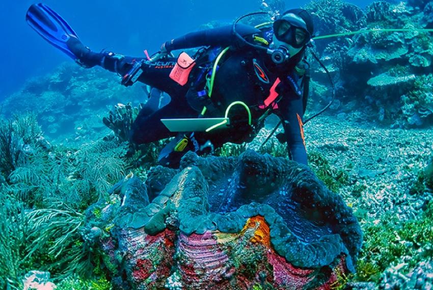 Diver underwater for Beneath the Waves