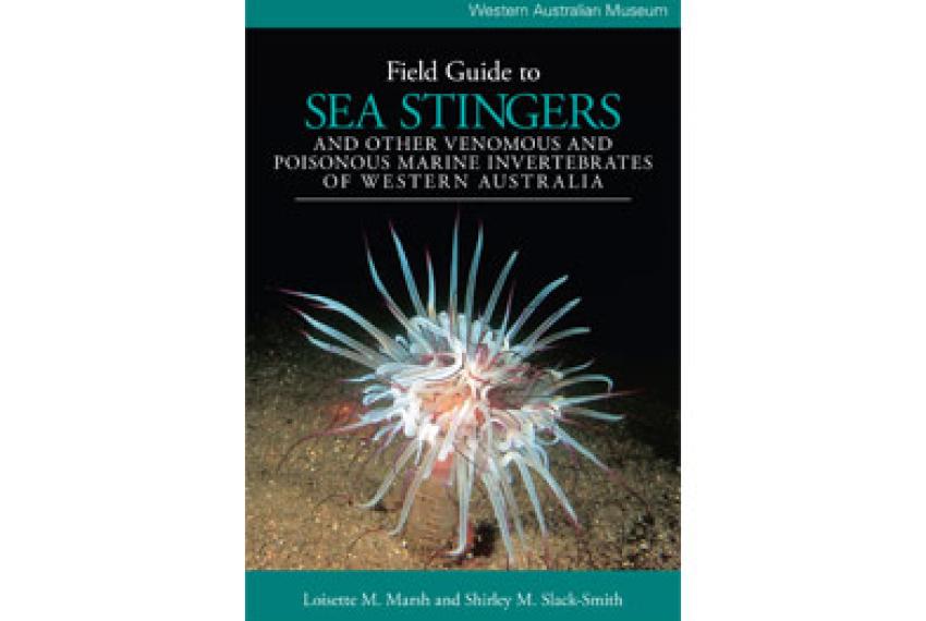 Book cover to the book 'A Field Guide to Sea Stingers'