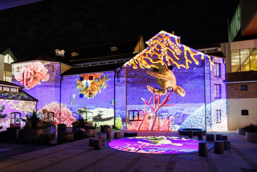 Illuminate Proejctions