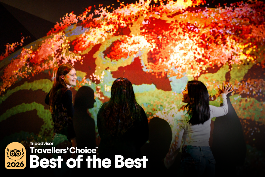 A group of young people examine a vibrant, colourful projected artwork