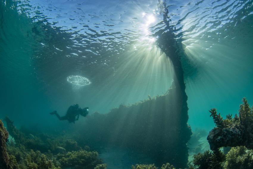 Underwater scene of a scuba diver exploring a shipwreck, with sunlight streaming through clear blue water above.