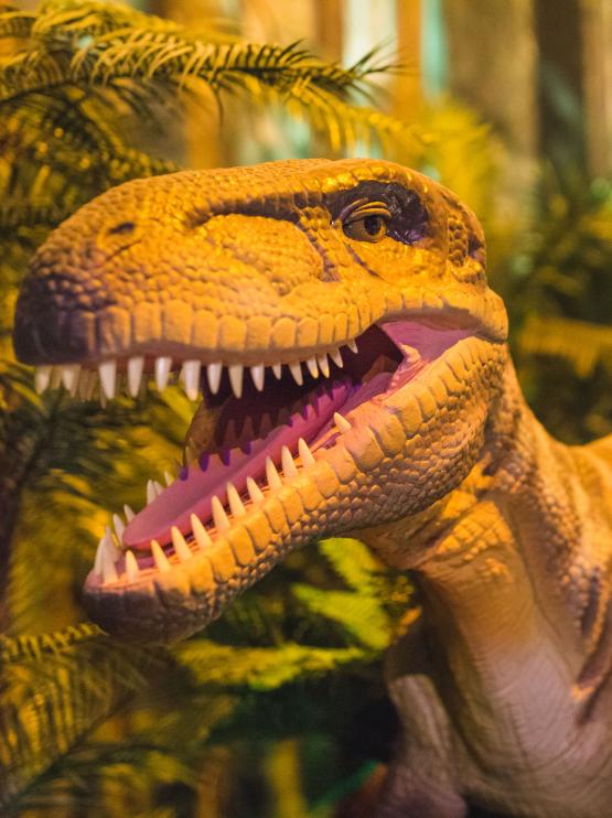 A moving dinosaur puppet standing in a leafy forest bares its teeth at the camera