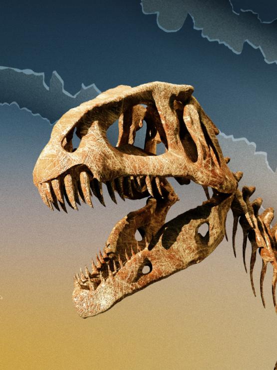 Dinosaurs of Patagonina webpage banner 