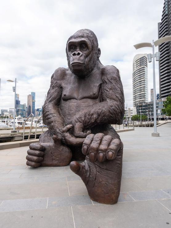 Giant bronze gorilla sculpture