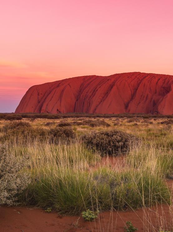 Uluru before sunset colors, Ayers Rock, Red Center, Australia