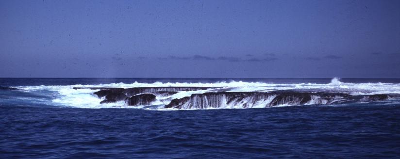 Ocean waves breaking over a long flat-topped rock that sits just around the waterline.