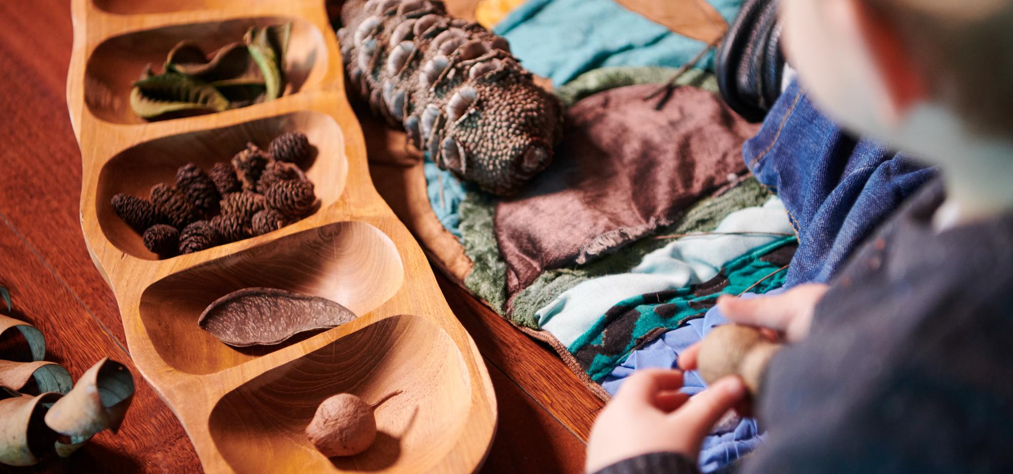 Child looking and playing with different seeds