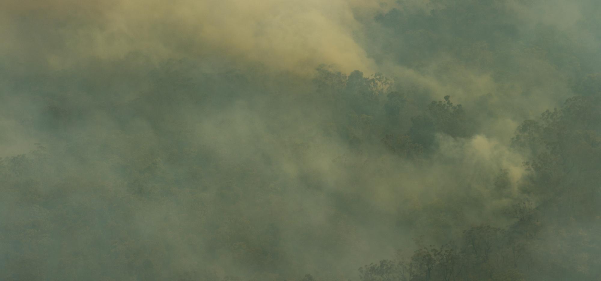 Australian bushfires with a green filter applied