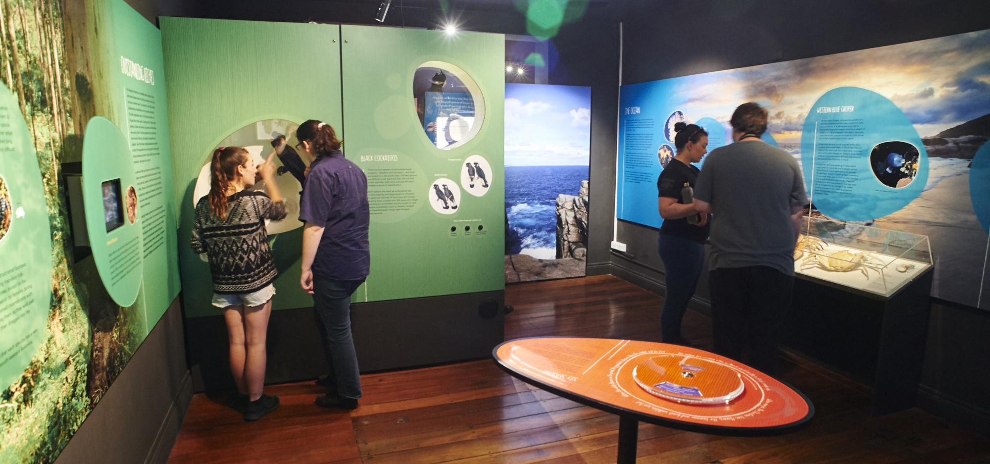 People examine displays in the Museum of the Great Southern