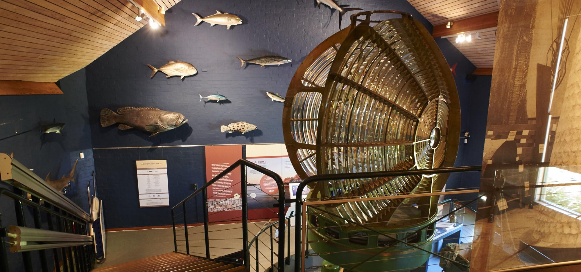 The interior of the Eclipse Building at the Museum of the Great Southern