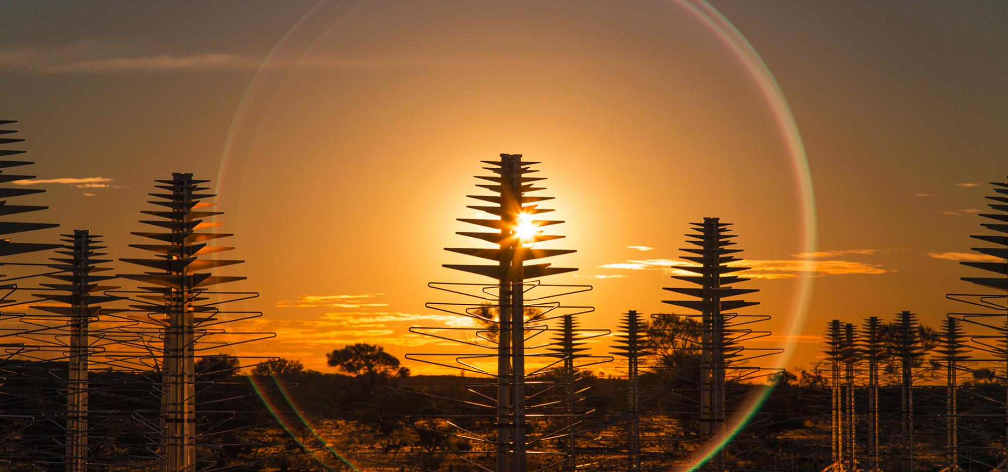 A field of radio telescope antennae silhouetted against the setting sun