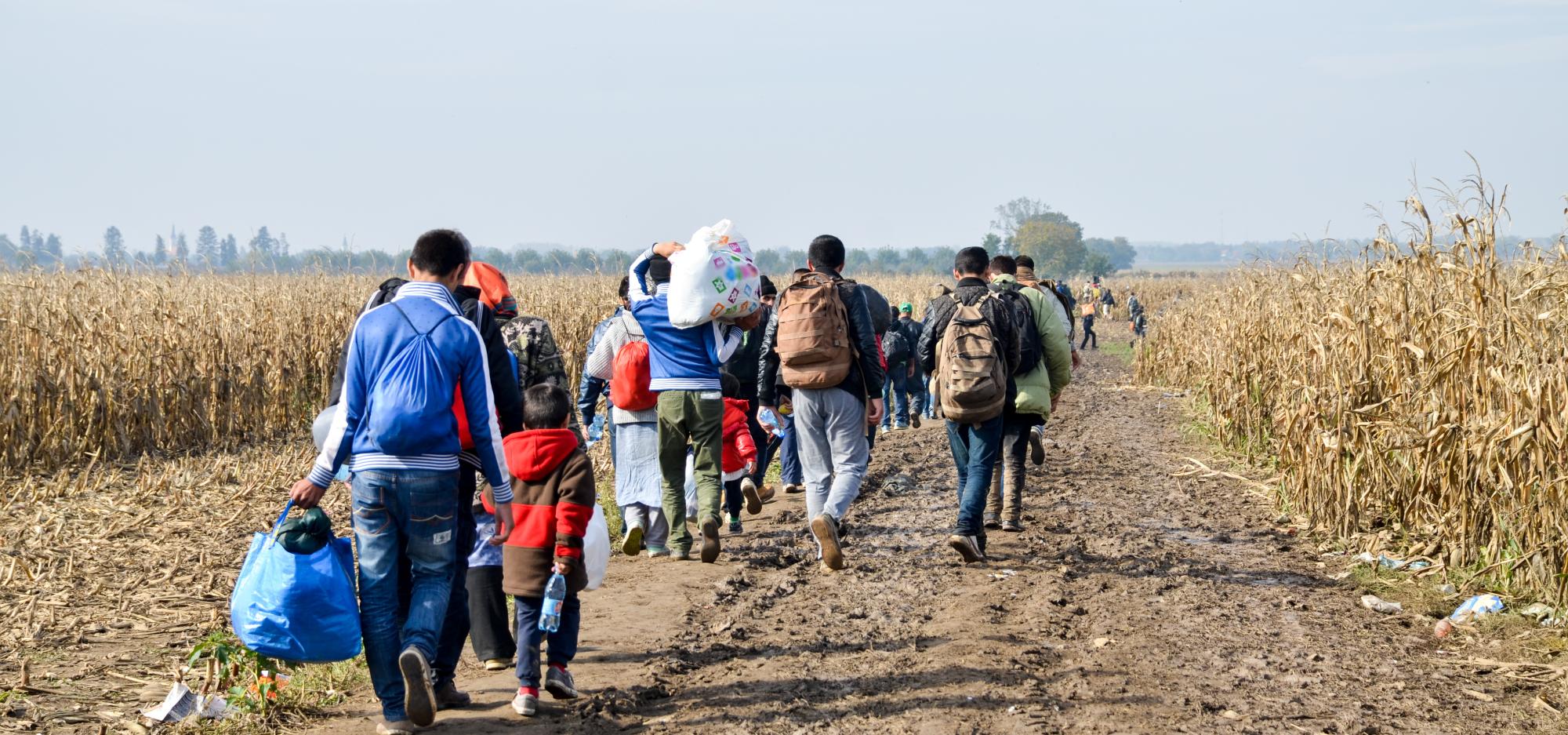Families seeking refuge walking across fields