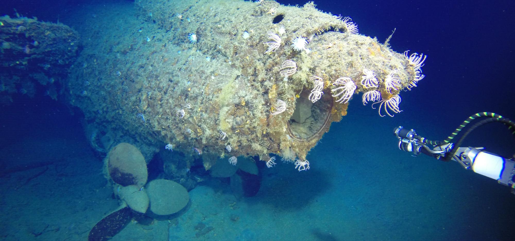 An underwater scene of a sunken wreck