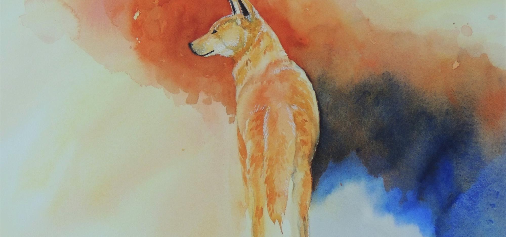 A watercolour painting of a dingo