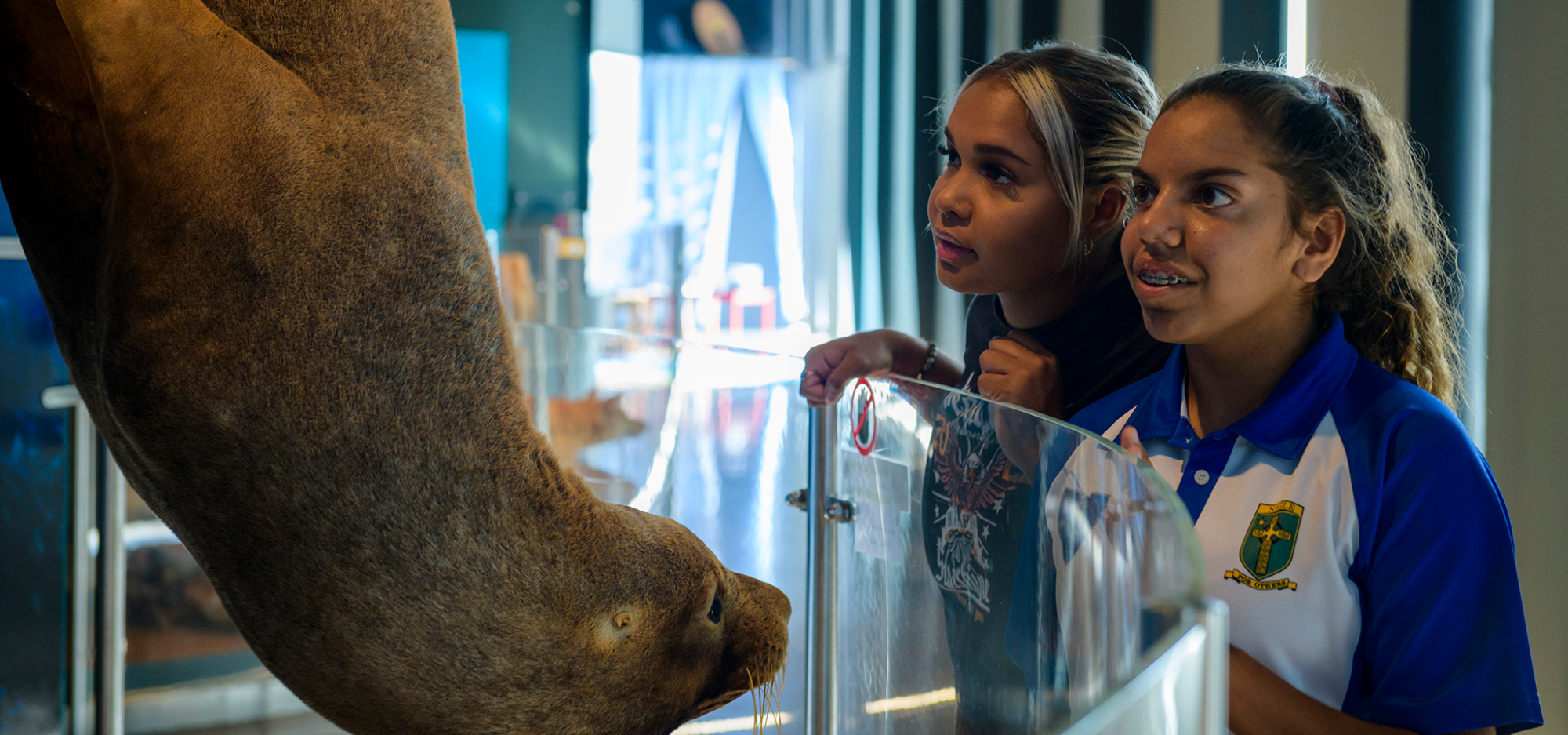 2 children looking at a taxidermy seal