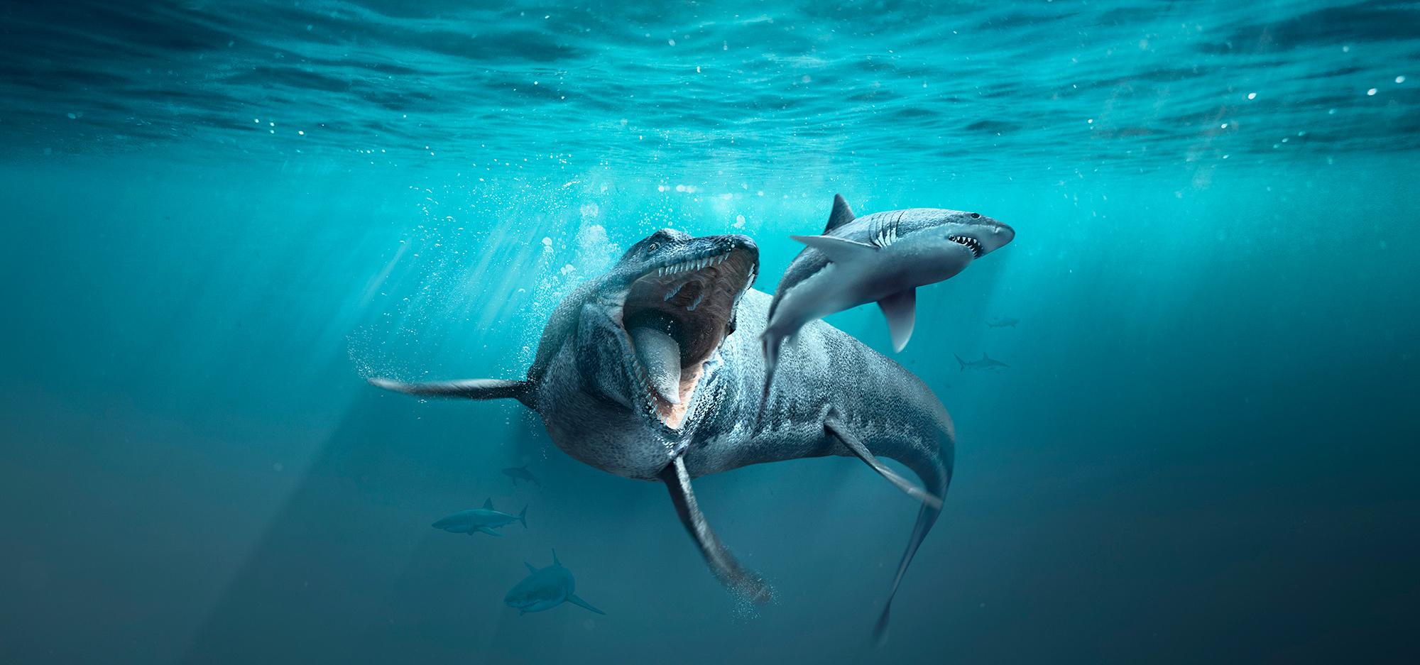 An underwater illustration of a huge sea monster preying on a shark