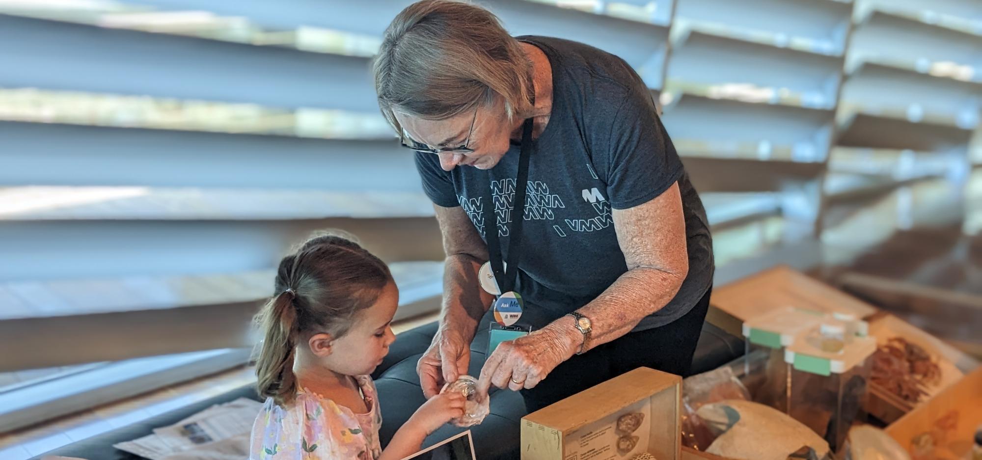 A mature female volunteer wearing a WA Museum tee shirt is looking through some aquatic zoology specimens with a young girl. The volunteer is holding a pearlescent shell, which the girl is examining with an interested expression.