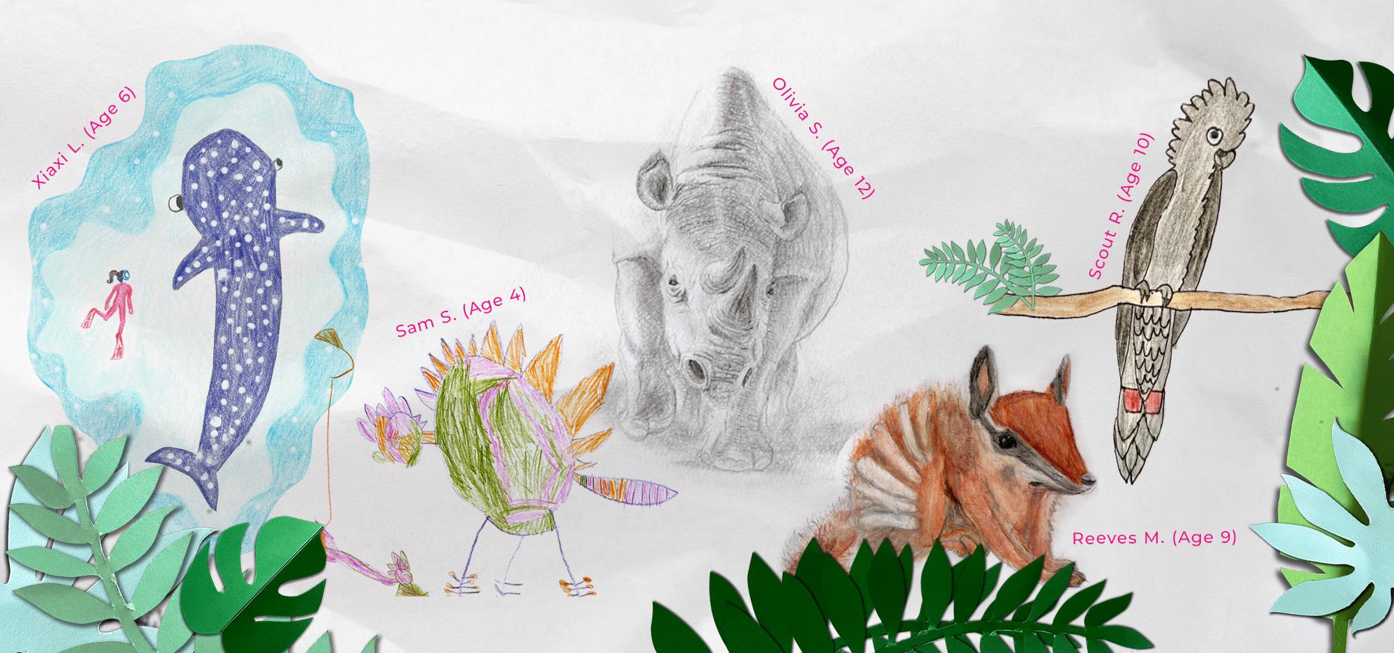 A series of children's drawings of a whale shark, dinosaur, rhino, numbat and cockatoo in various styles and colours, surrounded by green leaves