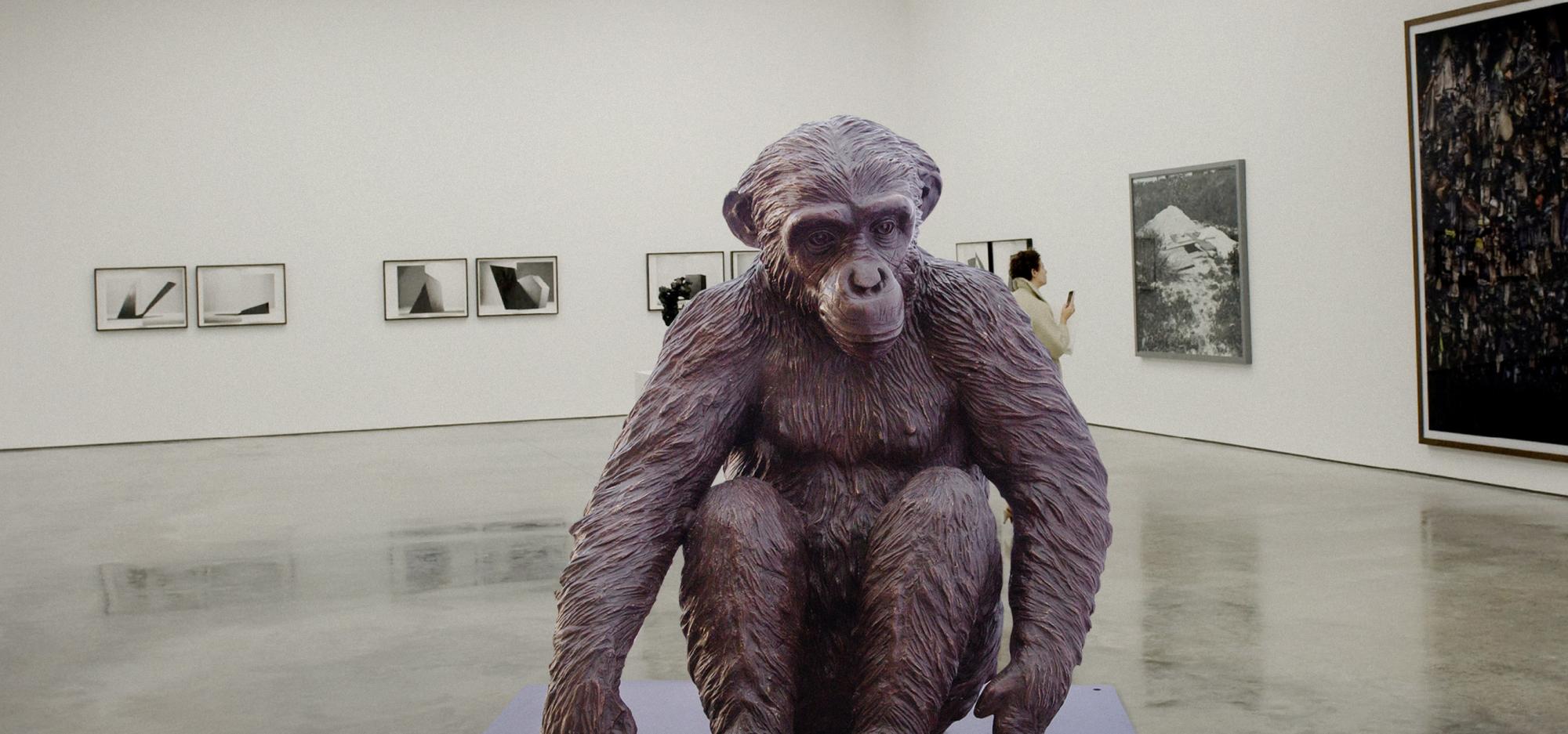 Wild Baby Chimpanzee statue in a gallery setting