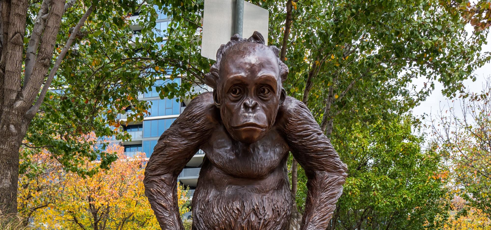 Statue of wild baby orangutan 