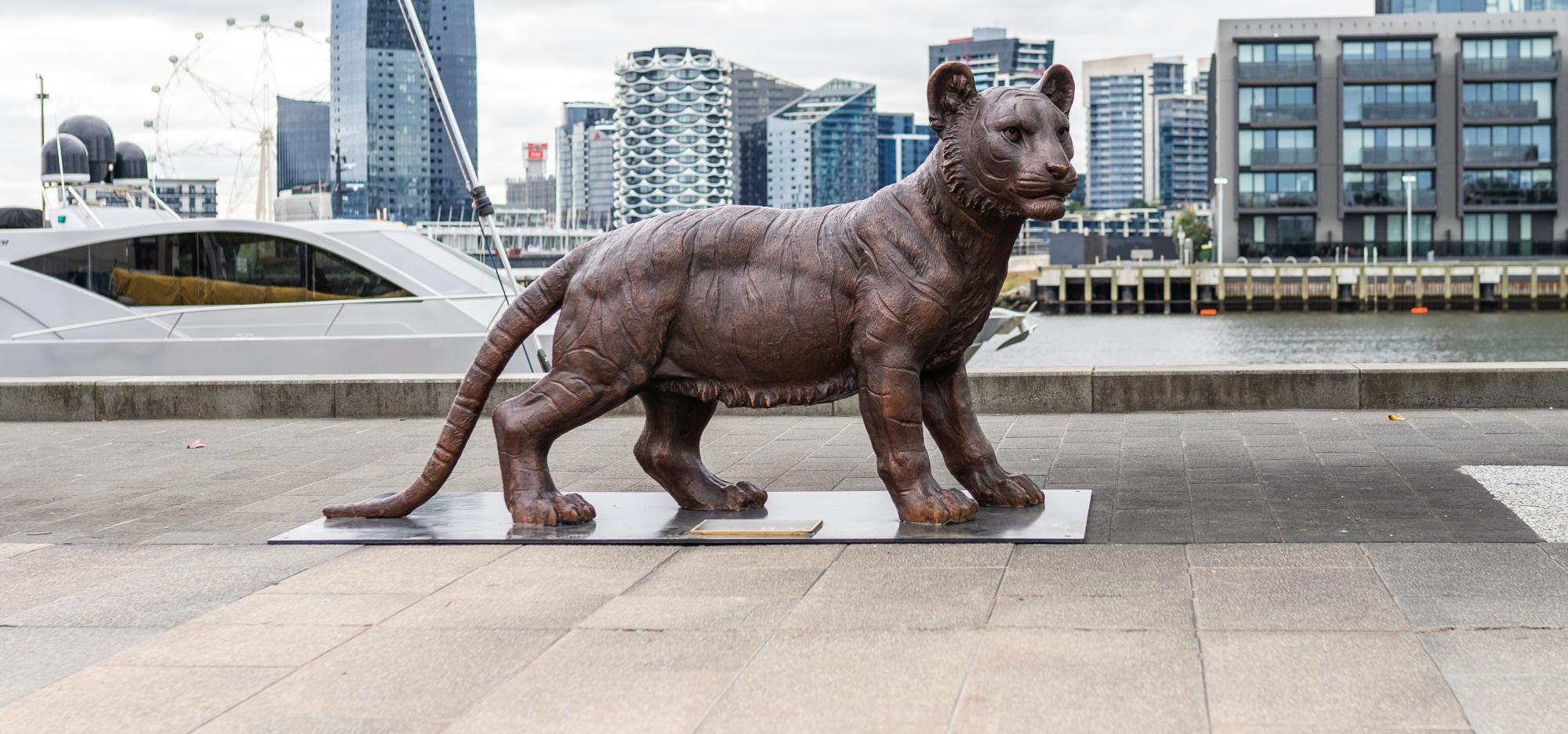 Statue of wild baby bengal tiger