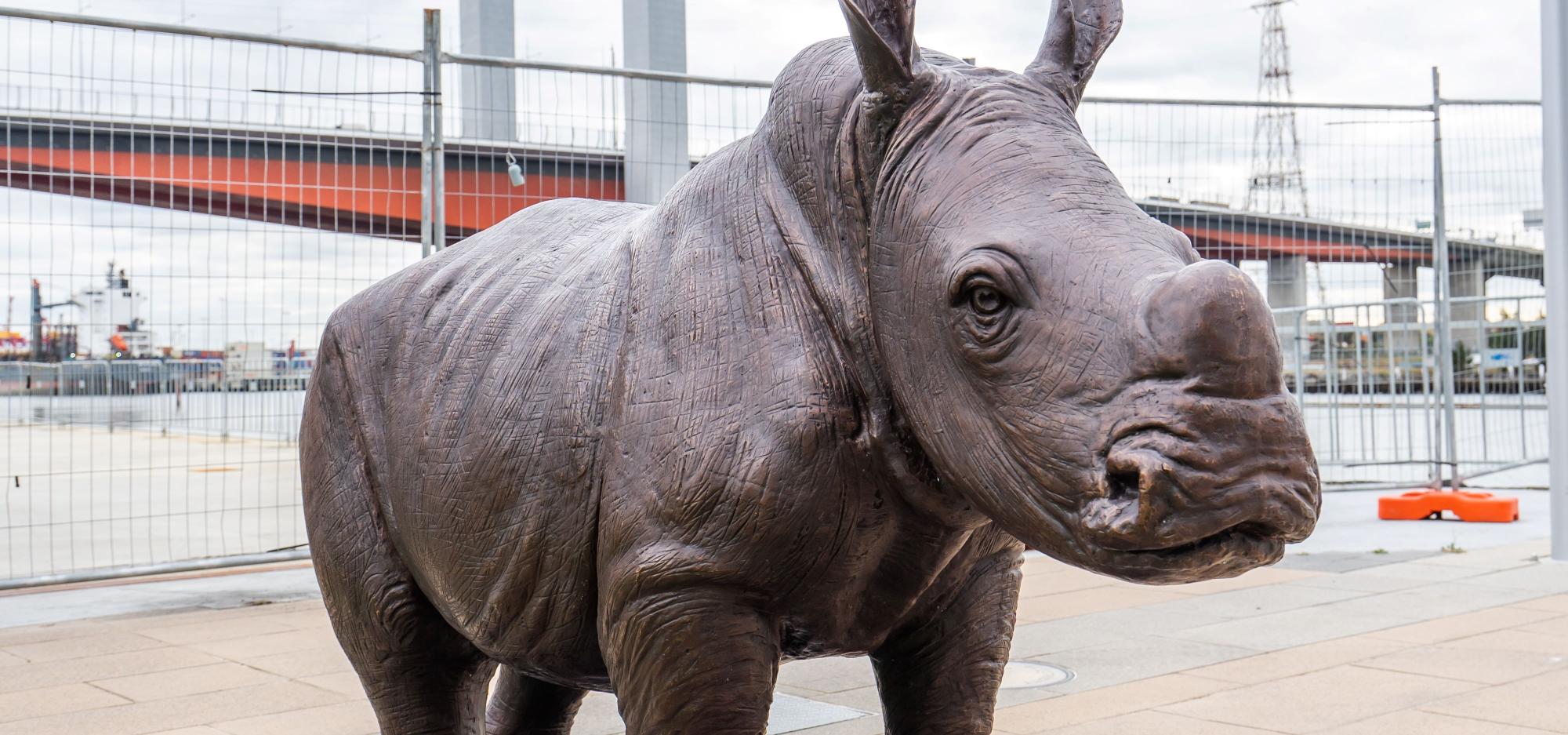 Statue of wild baby rhino