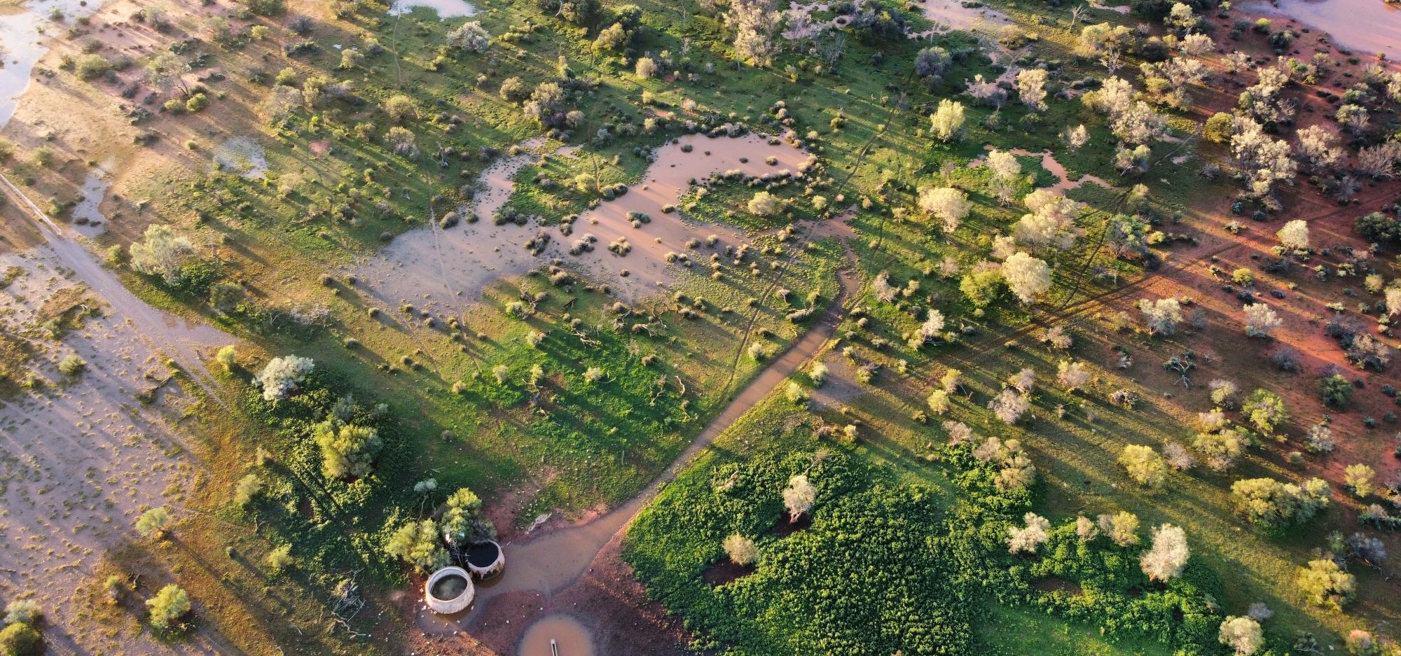 An aerial view of a rural Western Australian landscape showing large patches of green shubbery interspersed with swathes of red dirt and long puddles which shine a brown-pink in the low light of the day.