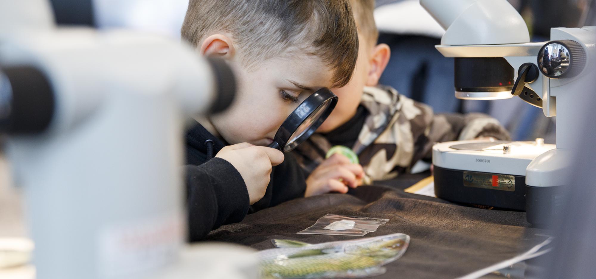 A child is looking through a magnifying glass onto a table with a cut out fish 