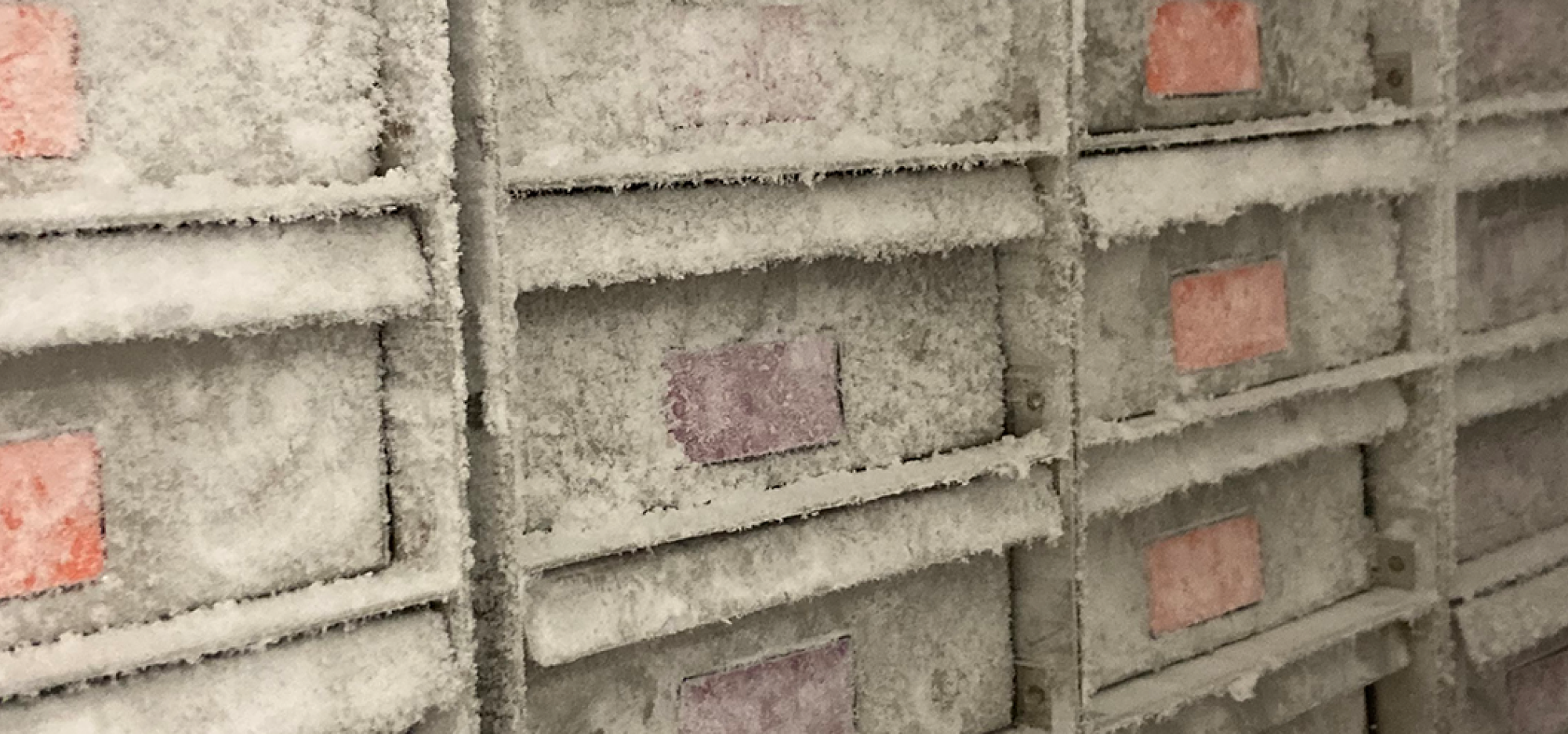 Drawers in the MSU laboratory, covered in ice and frost.