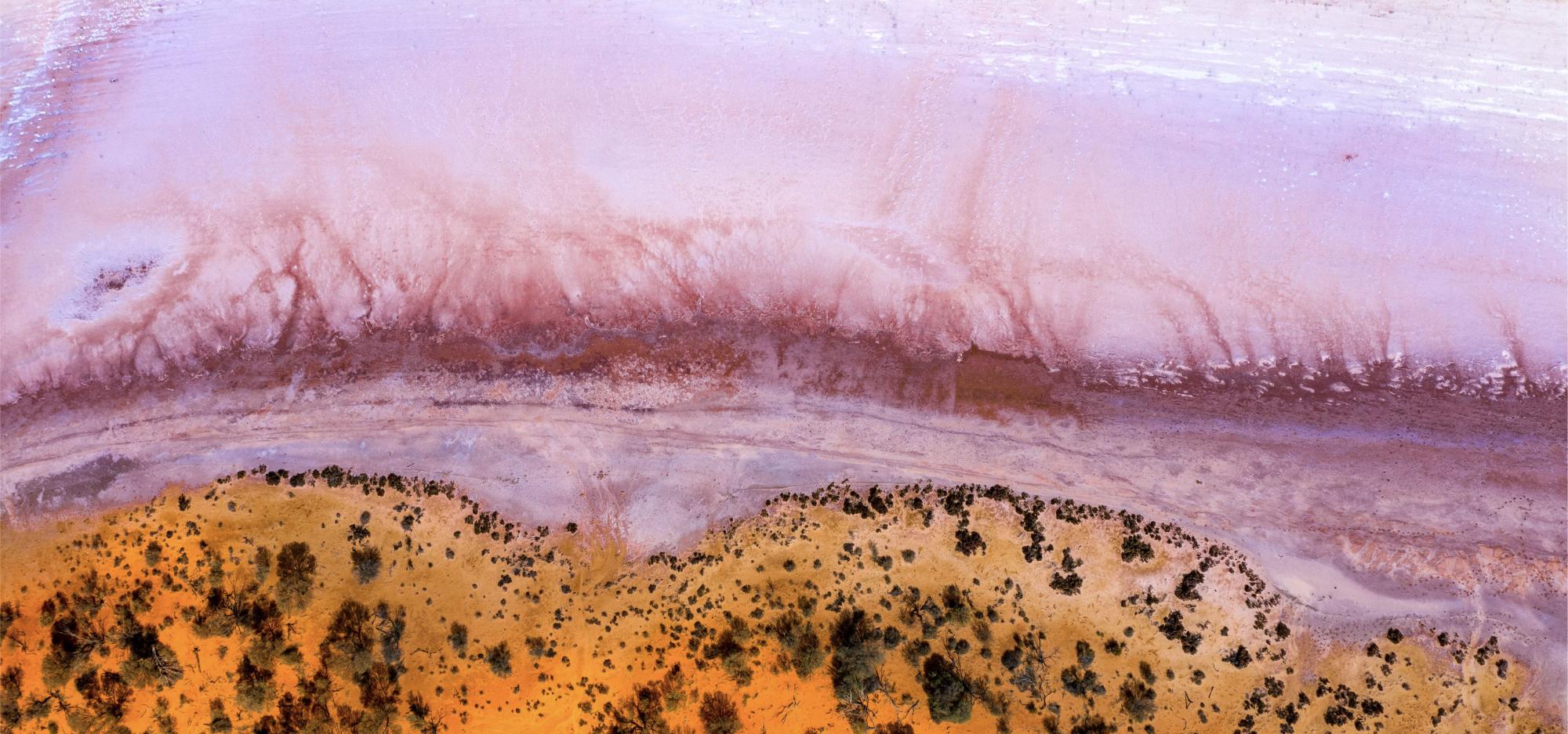 A vividly coloured beach shore with vibrant orange shores speckled with dark trees, and a blush pink ocean