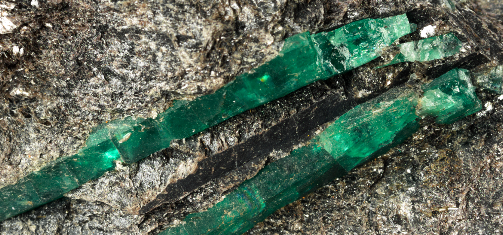 Jade coloured minerals, long, thin and rectangular in shape, surrounded by grey rock