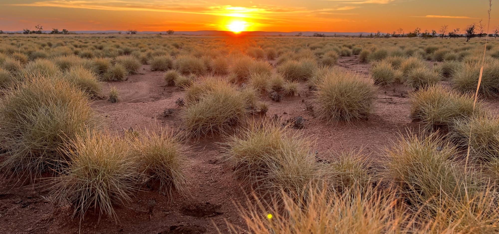 Sunset over Australian outback