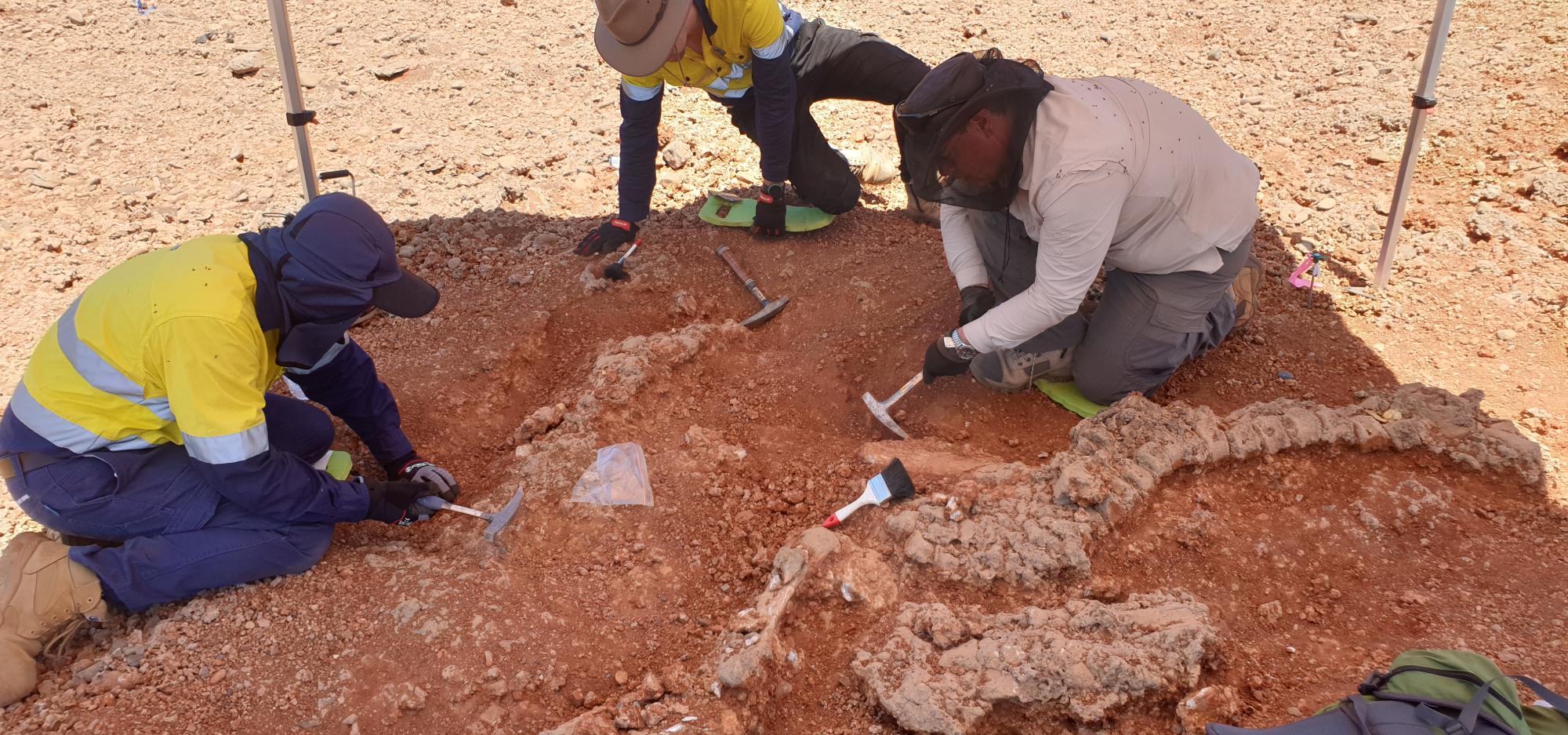 Scientists uncovering a Diprotodon fossil at the De Boulay creek site in northern WA