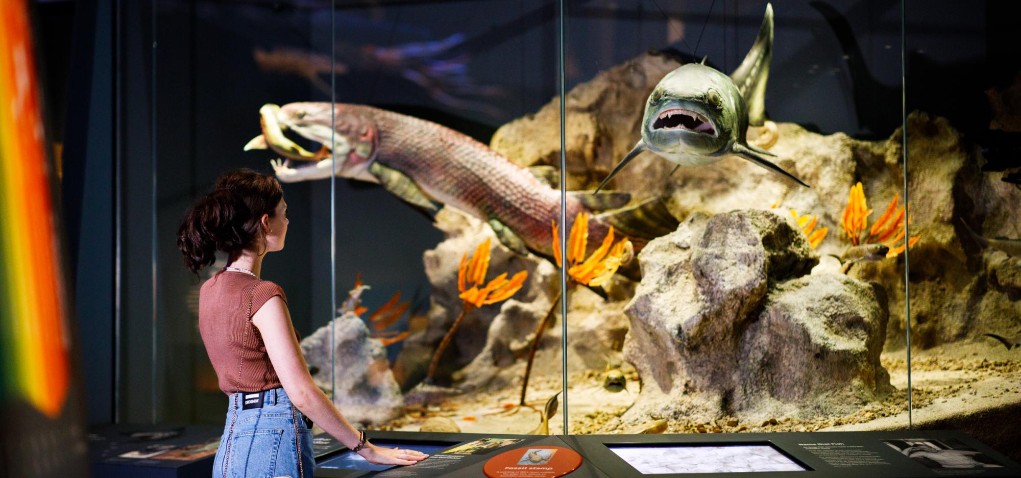 A woman gazes at a museum showcase filled with underwater specimens of taxidermy fish