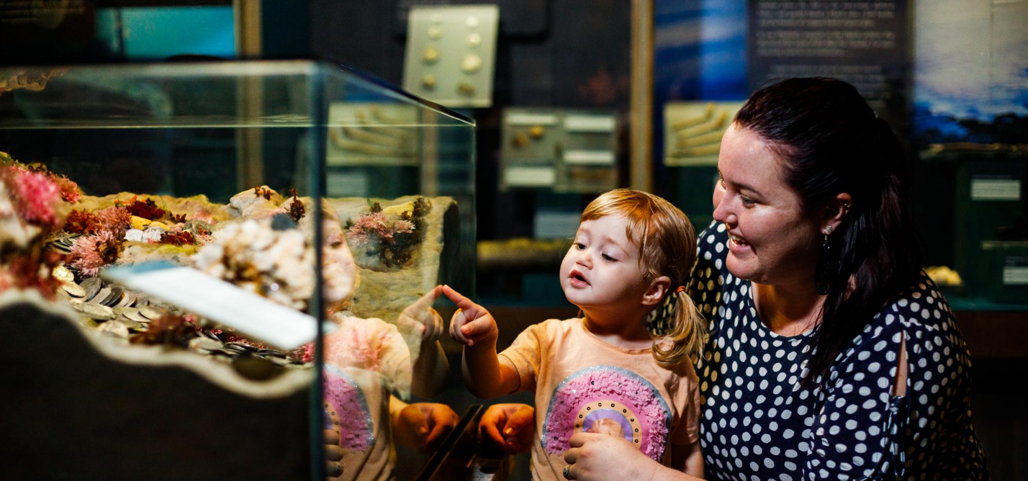 Mother and toddler gazing into a showcase of coins