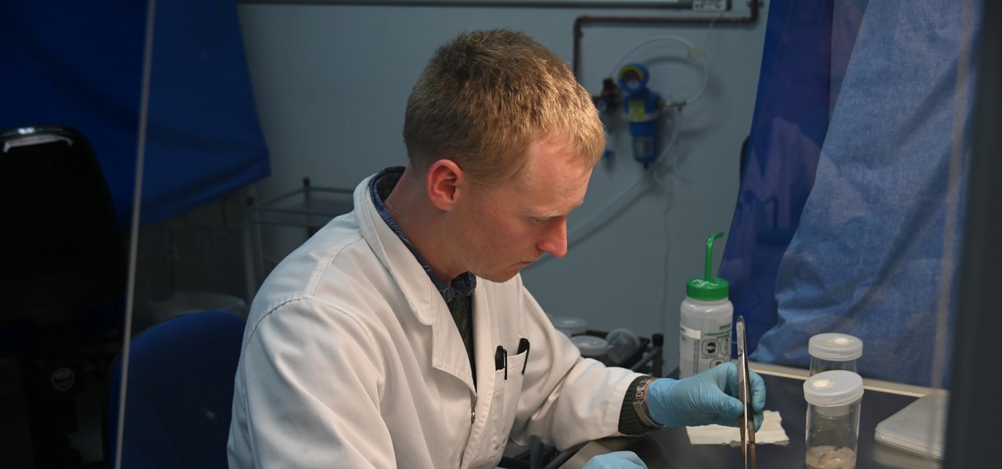Image shows a scientist from Kings Park undertaking tissue culture work. They have a 