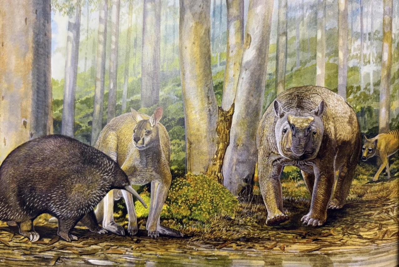 Reconstruction of some of the extinct megafaunal mammals from Mammoth Cave