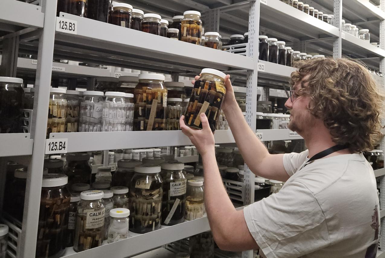 Project Officer Tom Ferguson with WA Museum collection